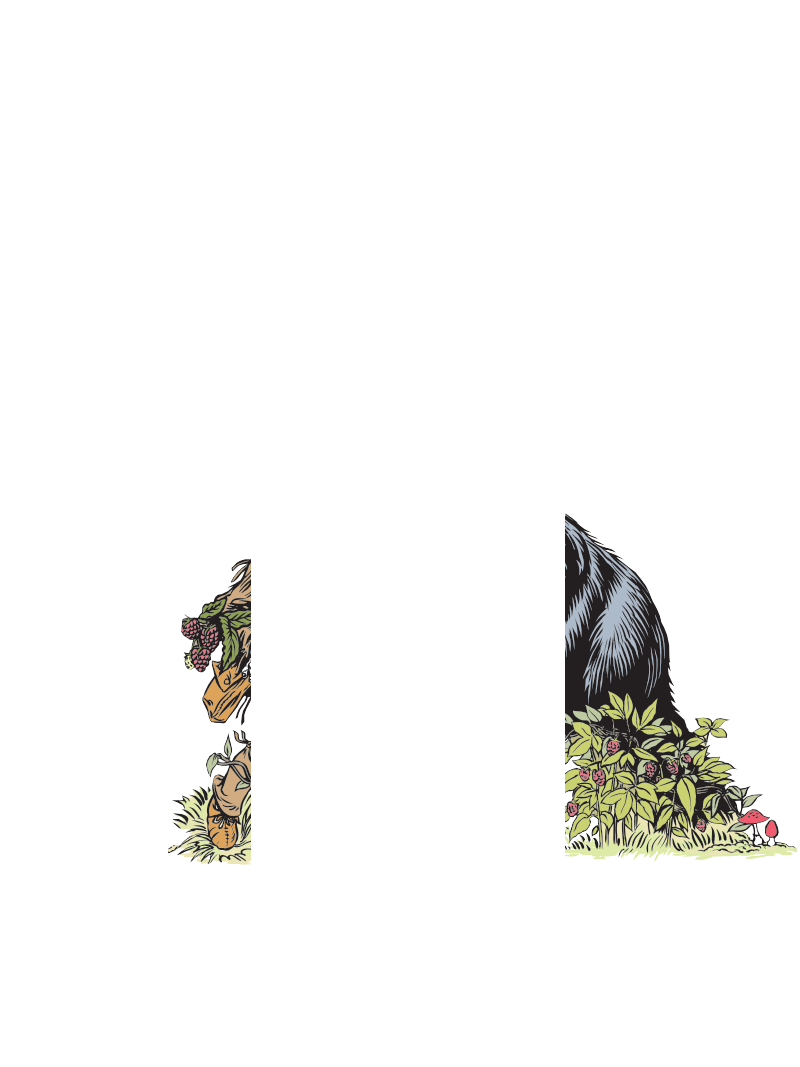 Cowsure aux framboises