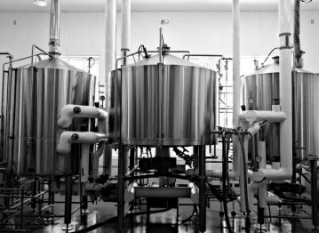 Chroniques d’une WWOOFeuse : c’est quoi le brassage ?
