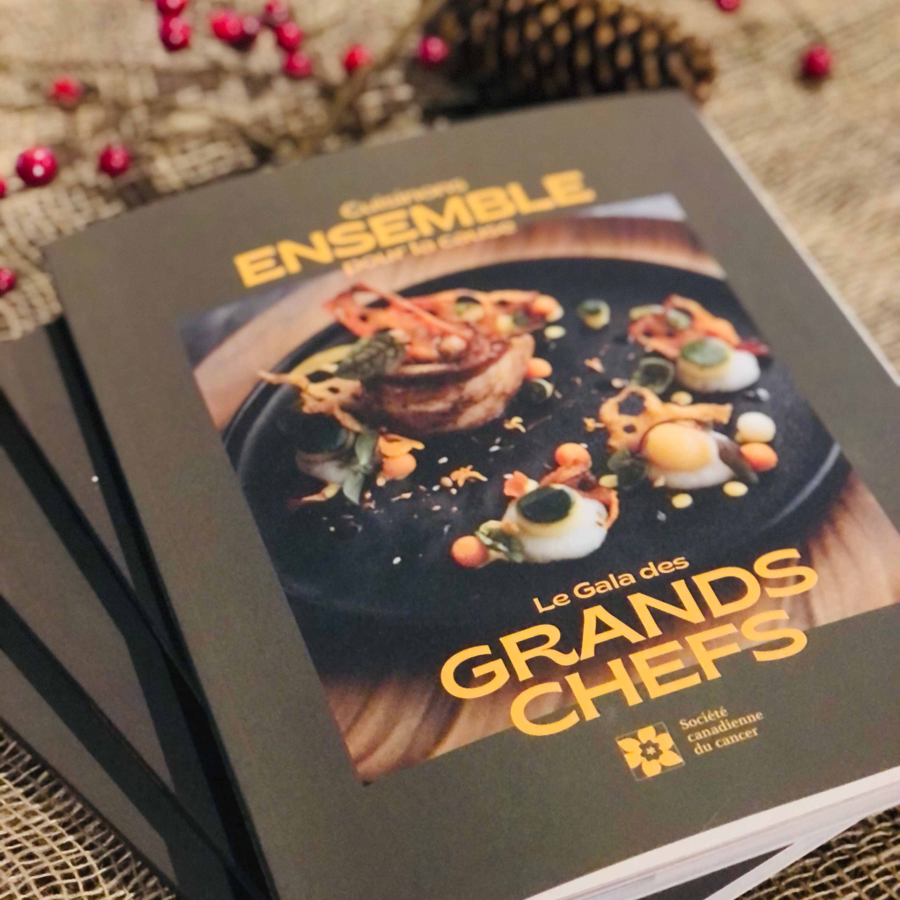 Livre de recette Gala des Grands Chefs