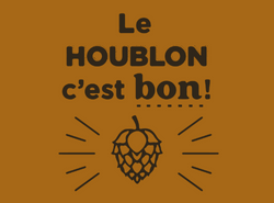 Houblons 101 – Houblons nobles